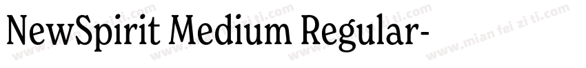 NewSpirit Medium Regular字体转换